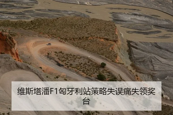 维斯塔潘F1匈牙利站策略失误痛失领奖台