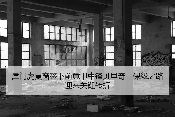 津门虎夏窗签下前意甲中锋贝里奇，保级之路迎来关键转折