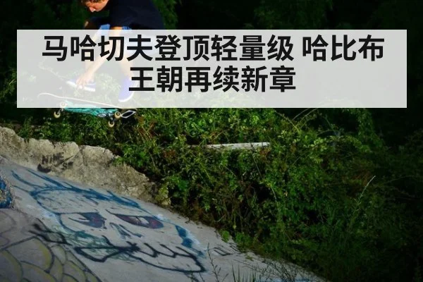 马哈切夫登顶轻量级 哈比布王朝再续新章