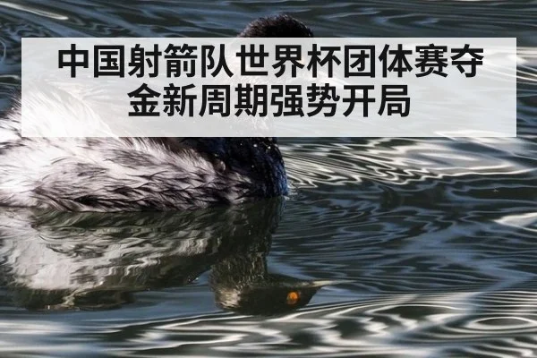 中国射箭队世界杯团体赛夺金新周期强势开局